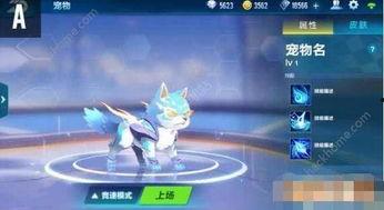 飞车手游宠物最新爆料,神秘属性觉醒,助力玩家驰骋赛道!